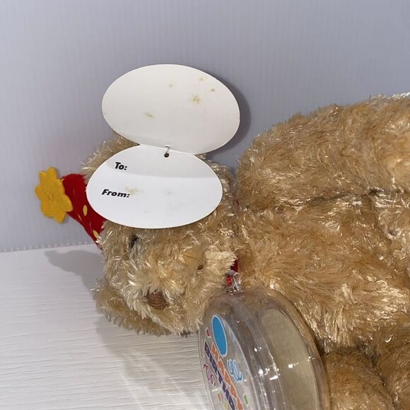 Beary Sweet Happy Birthday Plush Celebration Bear - Picture 5 of 9